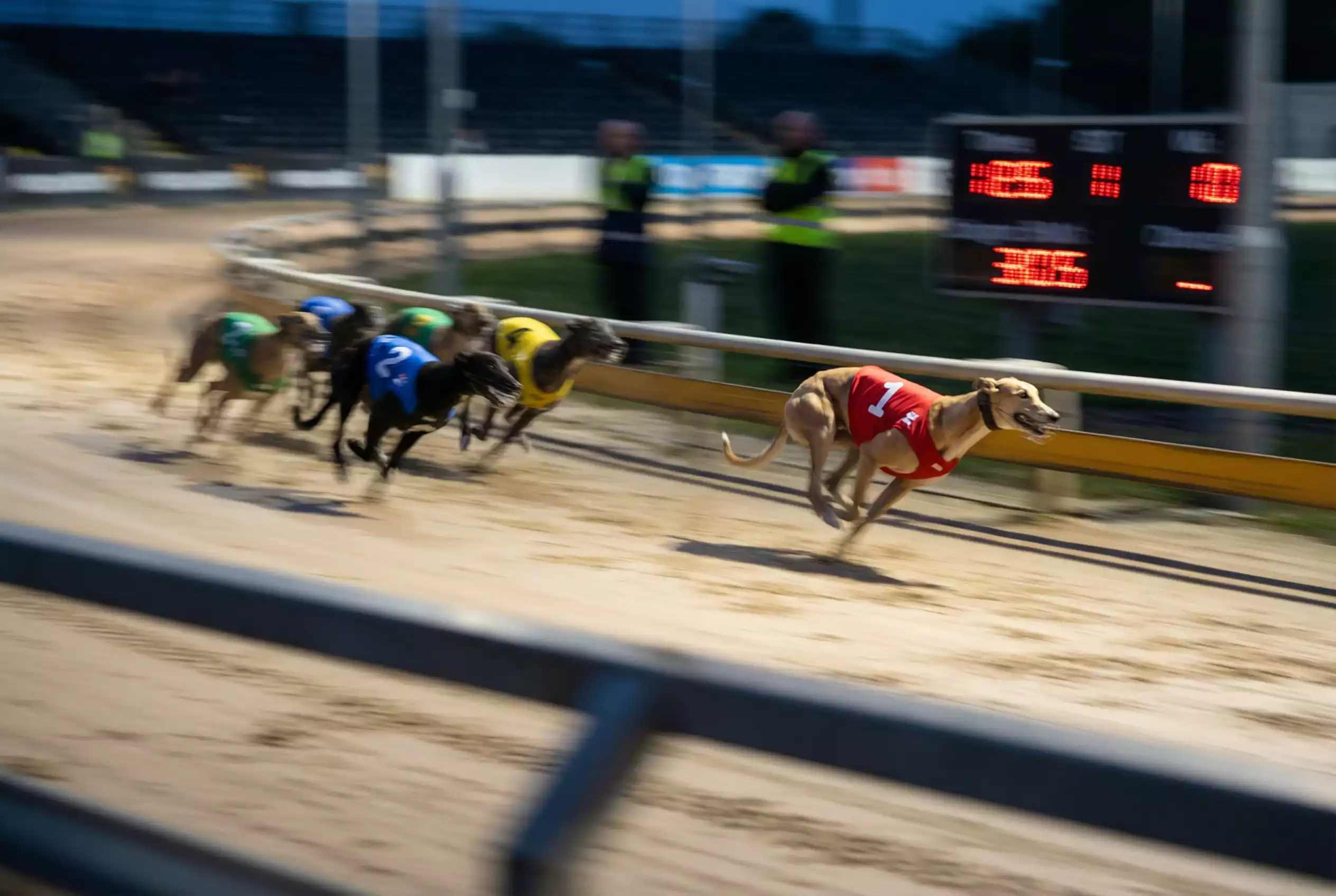 Greyhound sectional times early pace analysis