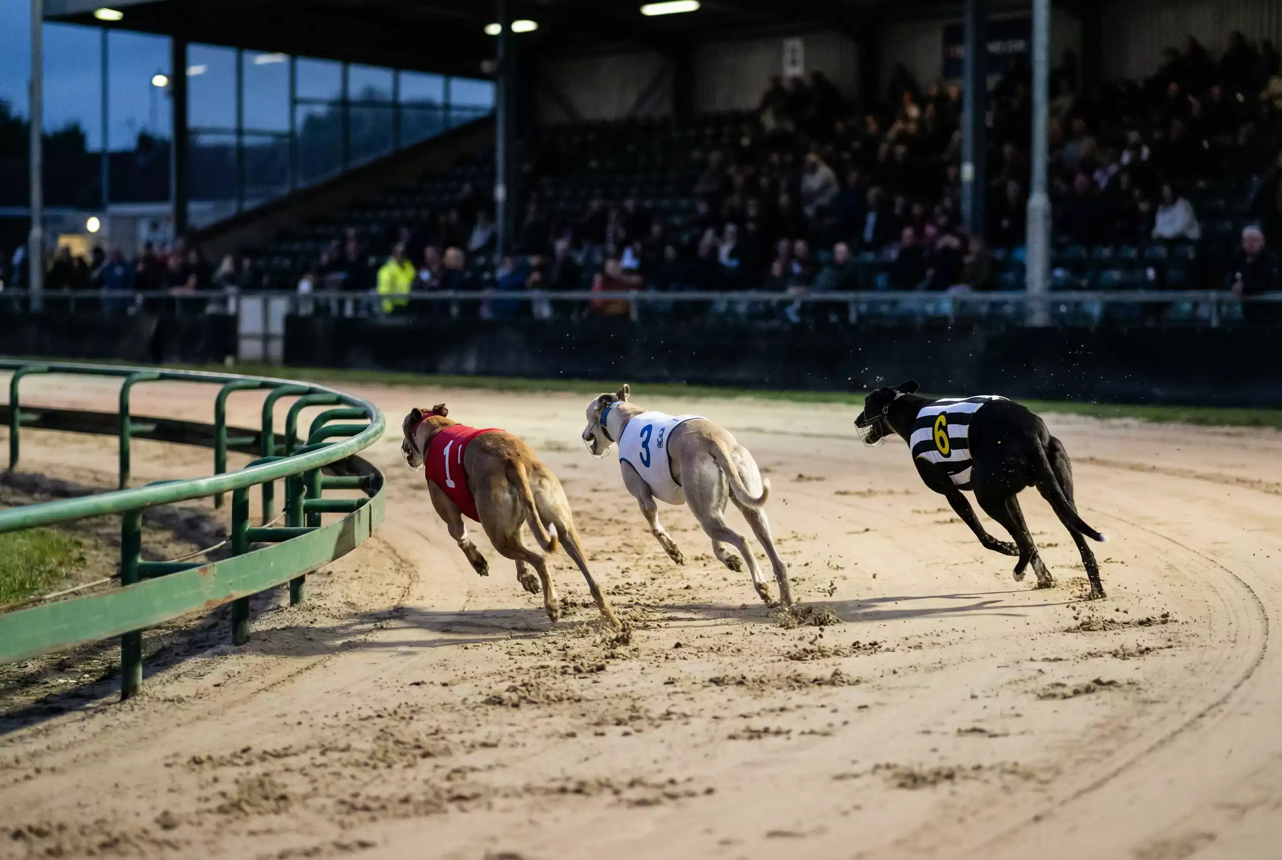 Greyhound seeding system with railer middle and wide runner positions