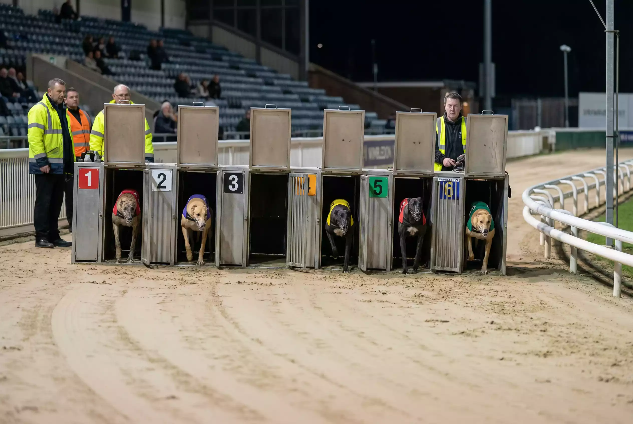 Greyhound starting boxes with one empty trap visible before race