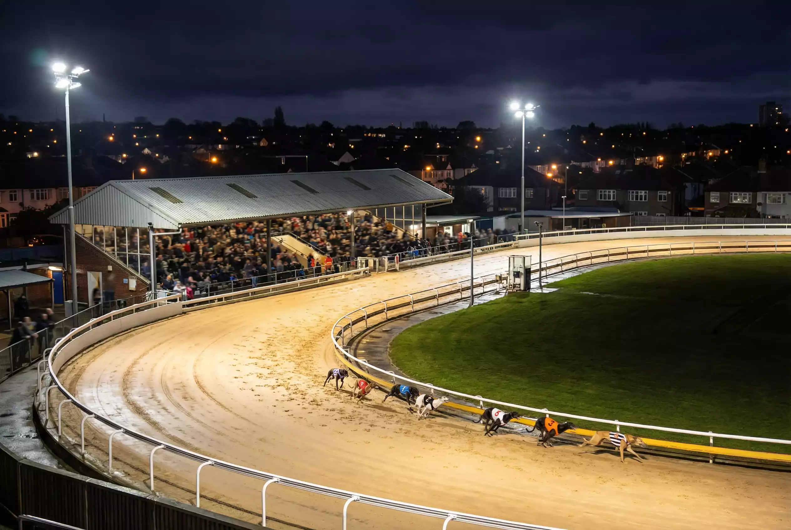 Romford Greyhound Stadium floodlit track with greyhounds racing at night